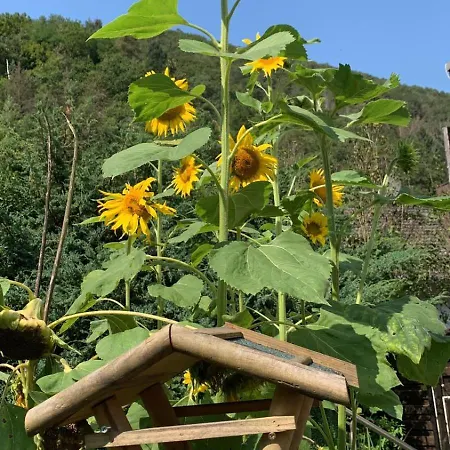 Διαμέρισμα Deni's Klotten